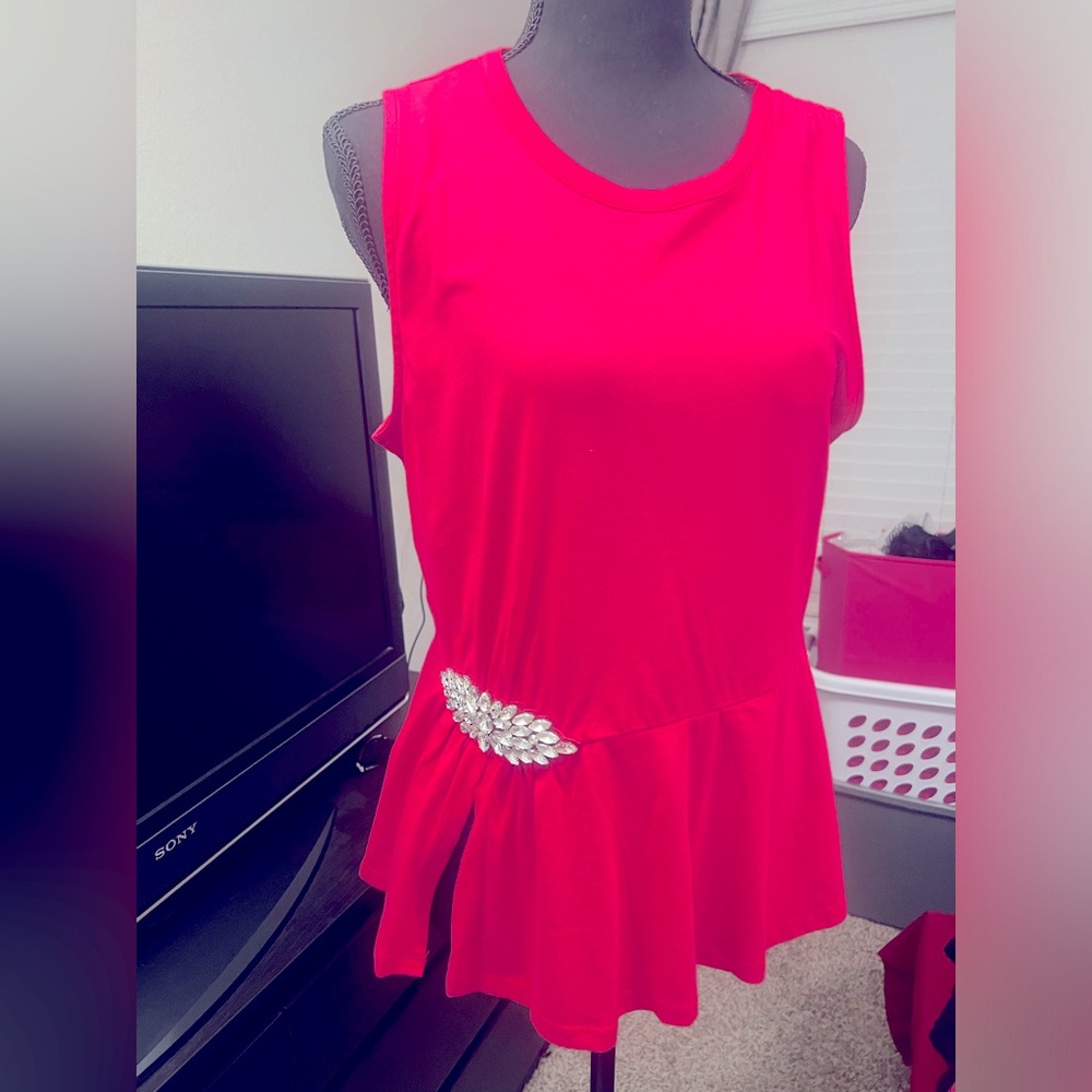 Express  dressy top